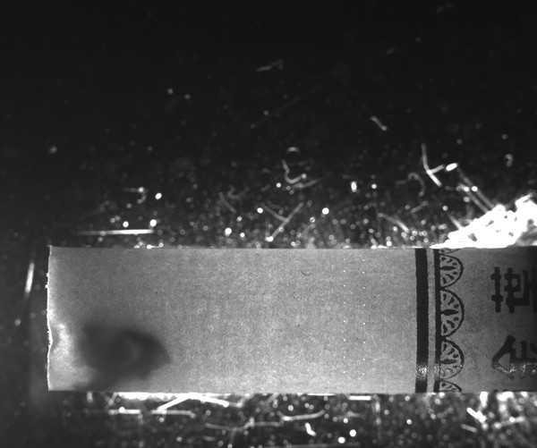 煙嘴缺陷檢測(cè)