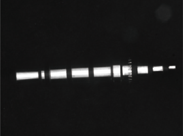 耳機(jī)插頭缺陷檢測(cè)