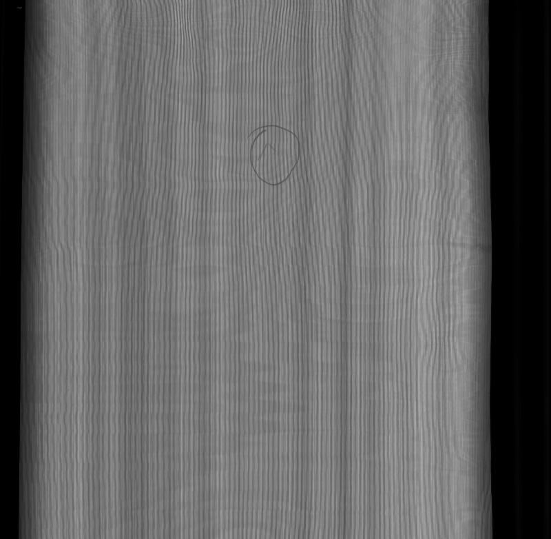 偏光膜外觀檢測(cè)